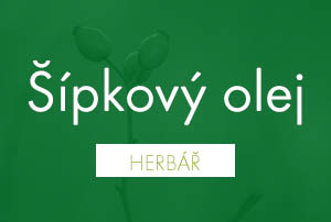 Šípkový olej: Olej mládí