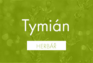 Bio herbář: Tymián