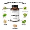 brain booster slozeni