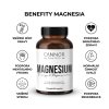 magnesium benefity
