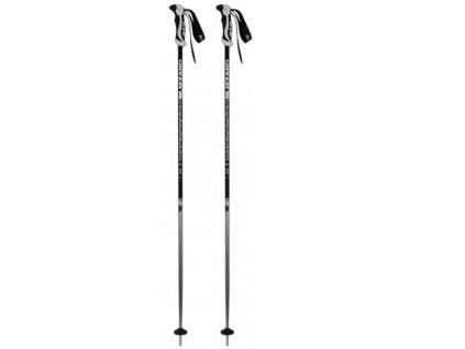 BLIZZARD Allmountain ski poles, silver (Varianta Velikost 110 cm)