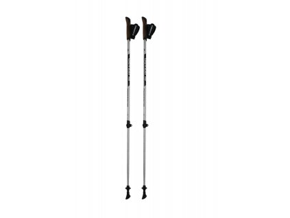 BLIZZARD Alu Performance nordic walking poles, silver/black (Varianta Velikost 105/135 cm)