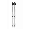 BLIZZARD Alu Performance nordic walking poles, silver/black (Varianta Velikost 105/135 cm)