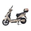 Elektroskútr RACCEWAY® E-FICHTL®, sv.zlatý-matný s baterií 20Ah (Výkon (W) 250)