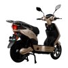 Elektroskútr RACCEWAY® E-FICHTL®, sv.zlatý-matný s baterií 20Ah (Výkon (W) 250)