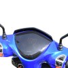 Elektroskútr RACCEWAY® E-FICHTL®, sv.zlatý-matný s baterií 20Ah (Výkon (W) 250)