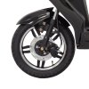Elektroskútr RACCEWAY® E-FICHTL®, sv.zlatý-matný s baterií 20Ah (Výkon (W) 250)