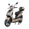 Elektroskútr RACCEWAY® E-FICHTL®, sv.zlatý-matný s baterií 20Ah (Výkon (W) 250)