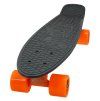 pb venice 04 b