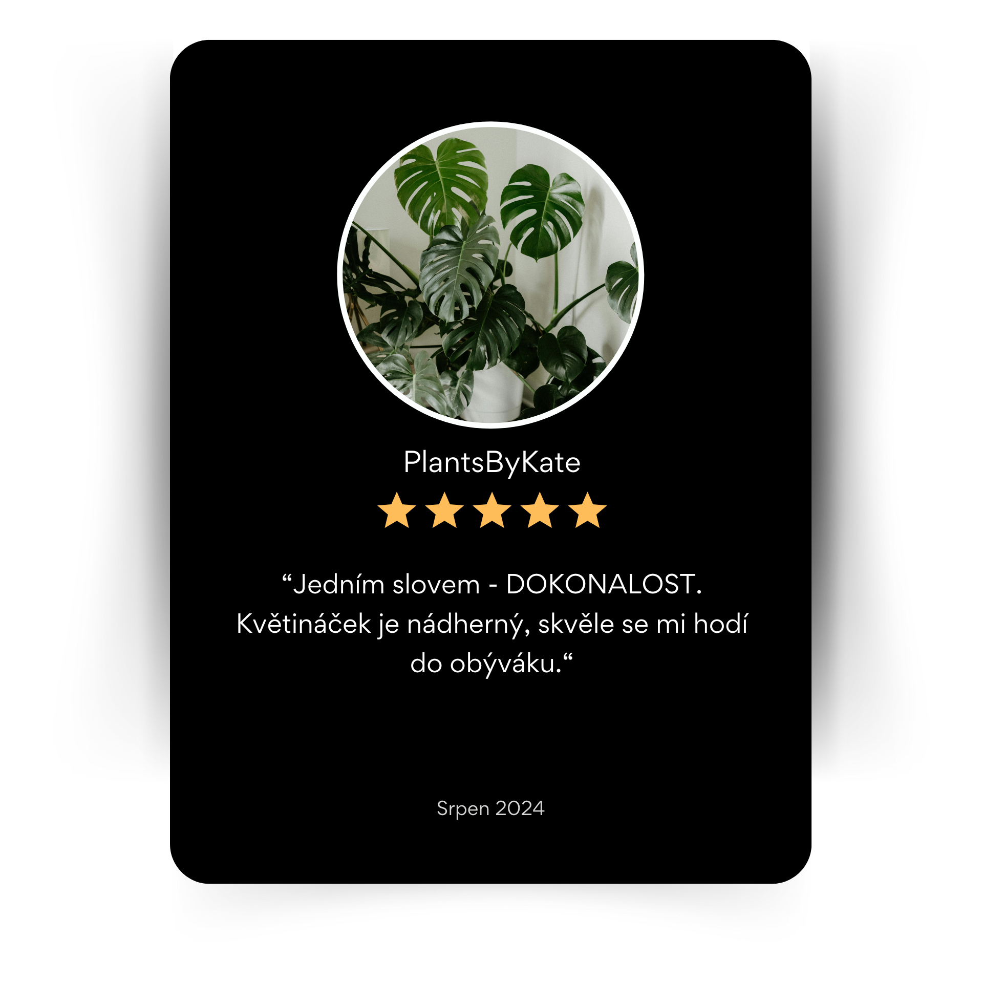 Testimonial k ynli květináči