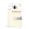 Sophisticate Men - inspirováno vůní - Dolce Gabbana, The One