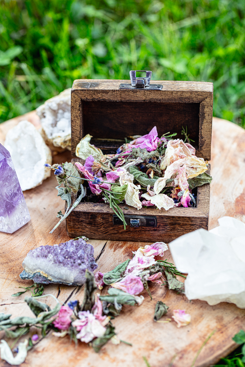 SCHOVEJTE SI LÉTO NA ZIMU