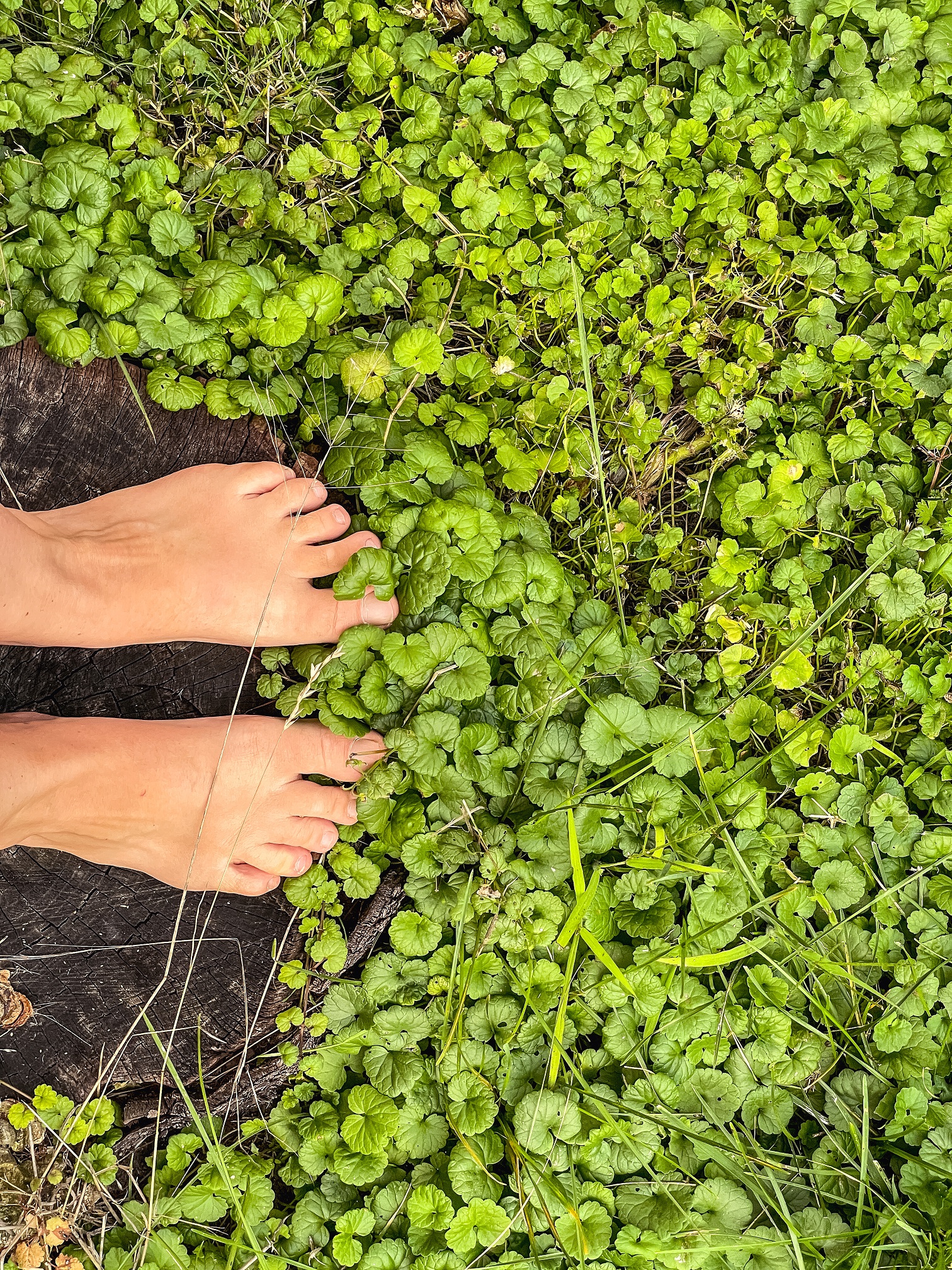 VE SPOJENÍ SE ZEMÍ