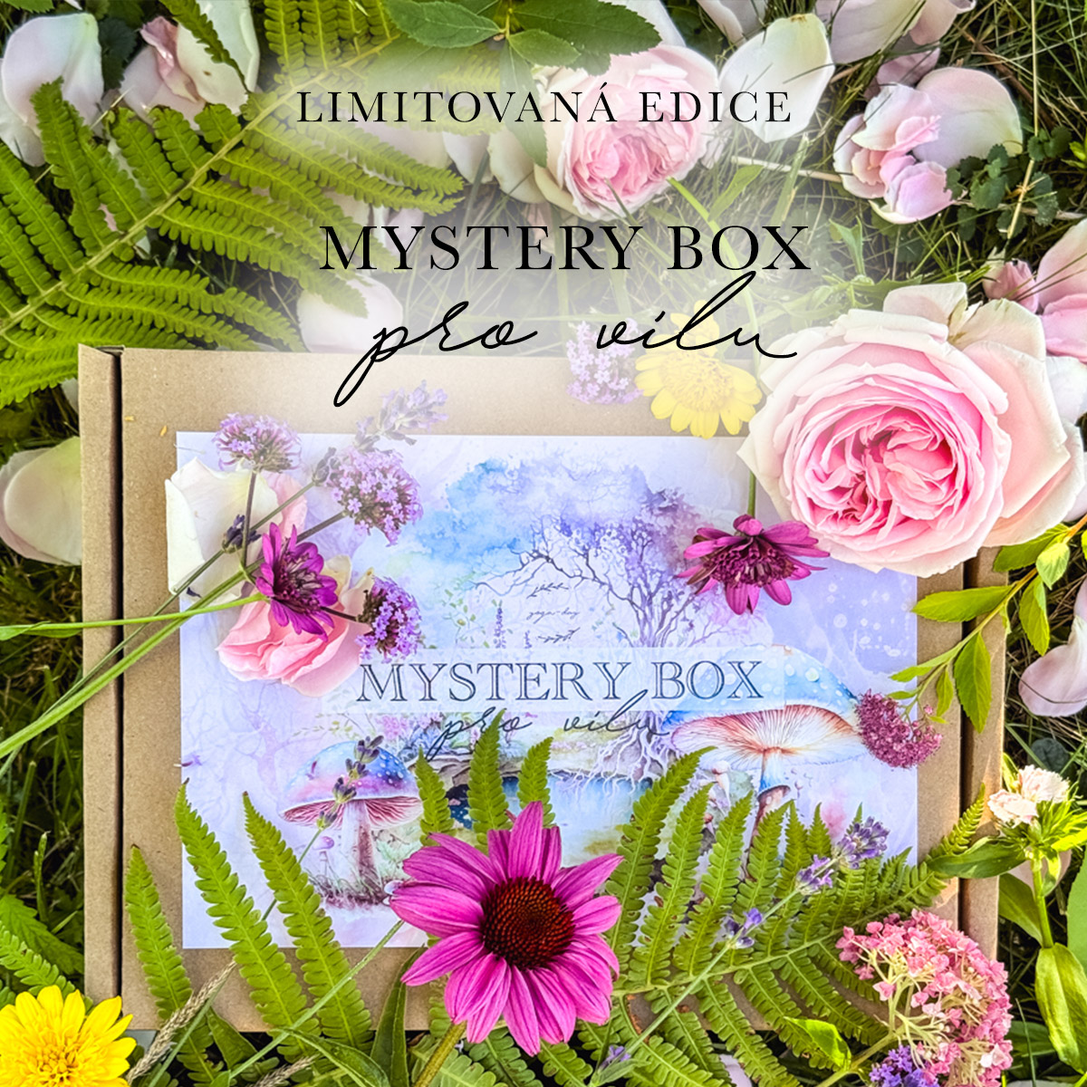 Mystery box Víla