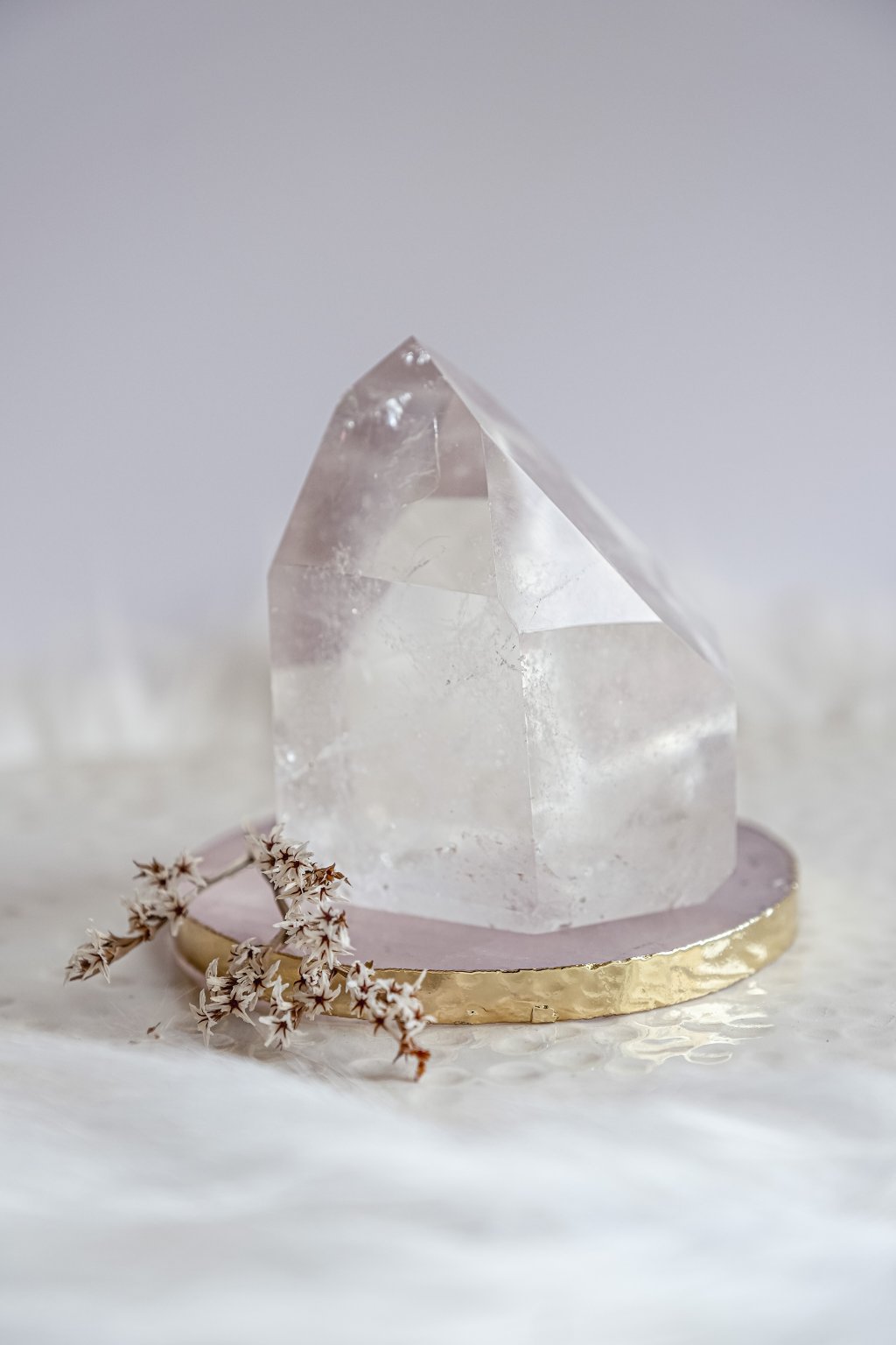 E7F13DAA F456 4A3C BCFB 77F7503ADBAA