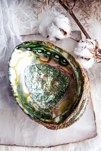 Duhová Lastura Abalone