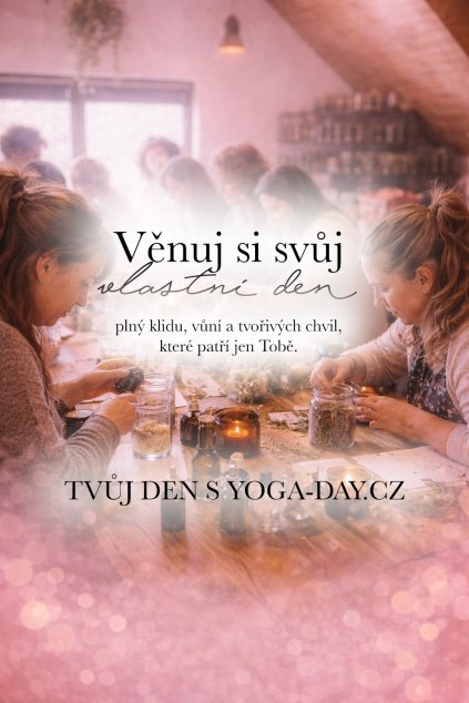 TVUJDEN+