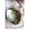 Duhová Lastura Abalone (Velikost Malá)