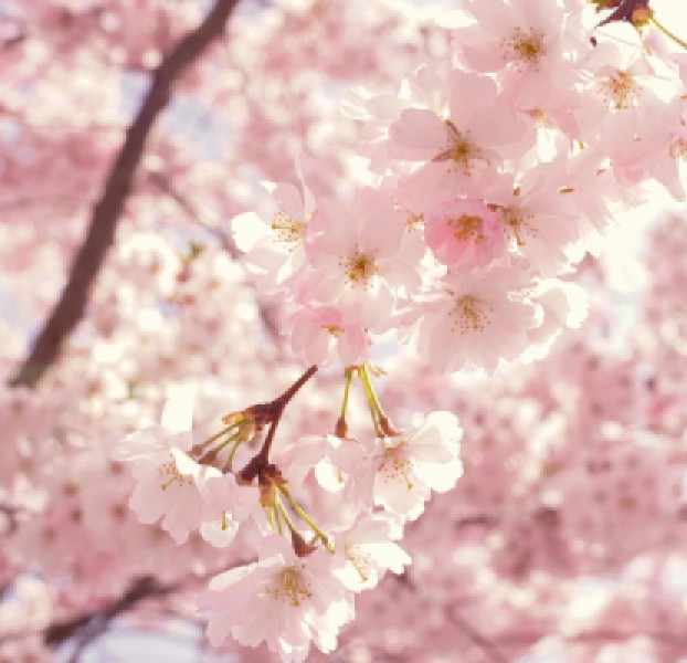 Příchod jara: Jak se připravit na novou sezónu fyzicky i duševně