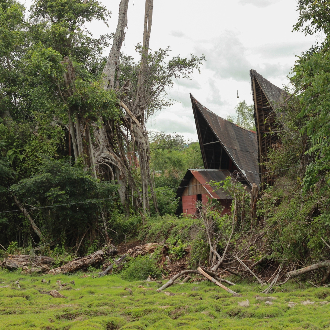 Andaliman : Korenie z krajiny ľudožrútov