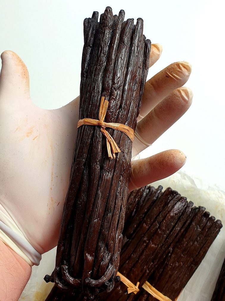 Ručne triedený zväzok vanilkových strukov Bourbon z Madagaskaru