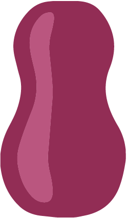 Kapesní vaginy