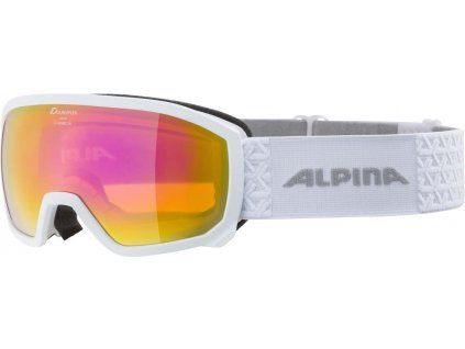 Scarabeo JR HM Alpina,brýle lyžařské jr