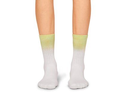 Ponožky All-Day Sock