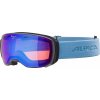 Estetica HM Q+VM Alpina,brýle lyžařské