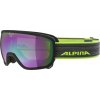 Scarabeo HM Alpina,brýle lyžařské