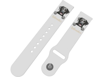 Labradorský retrívr řemínek 22 mm