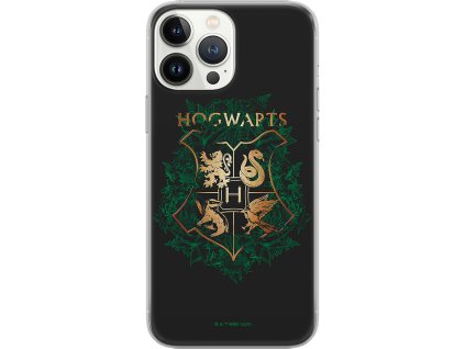 Ochranný kryt na iPhone 15 PLUS - Harry Potter 019 WPCHARRY8600