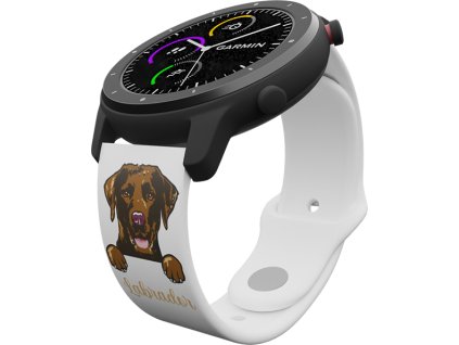 Hnědý labrador řemínek 22 mm