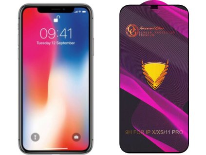 3D Ochranné tvrzené sklo na iPhone 11 Pro