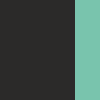 BLACK/TURQUOISE