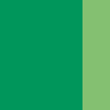 GREEN/NEON GREEN
