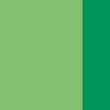 NEON GREEN/GREEN