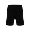 11153 1 skara shorts 2