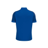 12331 1 baldwin polo 2