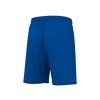 12664 3 galax short 4