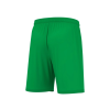 12781 1 galax short 2