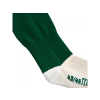 12865 round evo socks bottle green 1