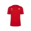 BOOST ECO T-SHIRT SK MODŘANY
