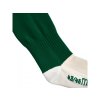 9460 3 round evo socks bottle green 1