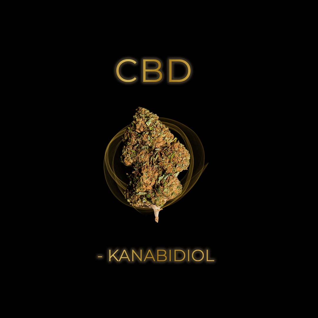 Co je CBD - Kanabidiol