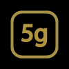 5G