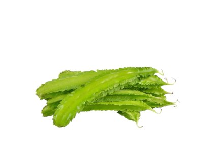 Photoroom 20260310 194630