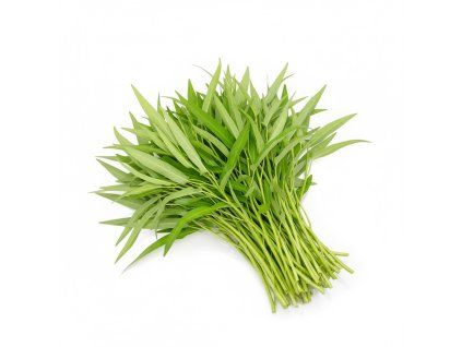 Photoroom 20260324 202316