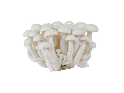 Photoroom 20260307 114405