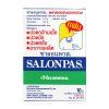Hisamitsu Salonpas Pain Relieving Patch 10 pcs.